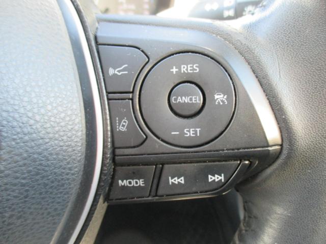 カローラツーリング（新潟県新潟市西区）