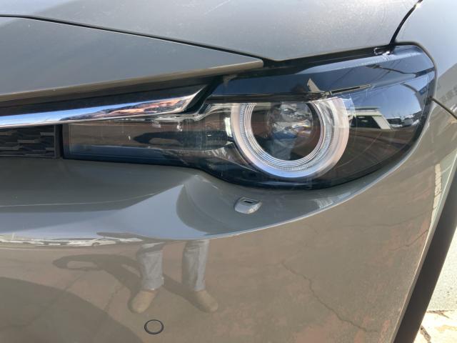 MX-30（新潟県長岡市）画像64