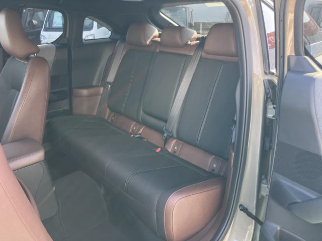 MX-30（新潟県長岡市）画像10