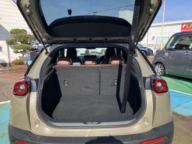 MX-30（新潟県長岡市）画像58