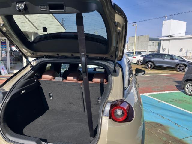 MX-30（新潟県長岡市）画像61