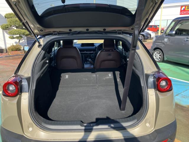 MX-30（新潟県長岡市）画像59