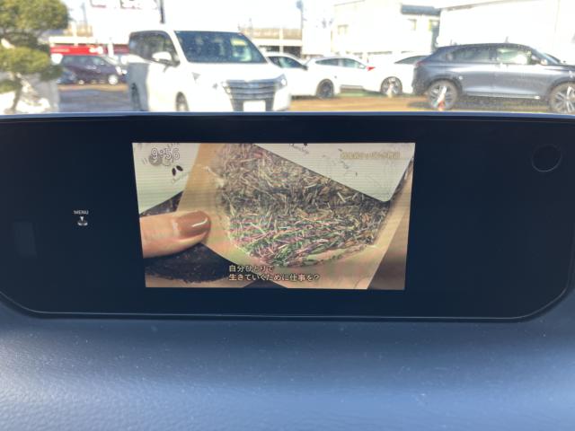 MX-30（新潟県長岡市）画像18