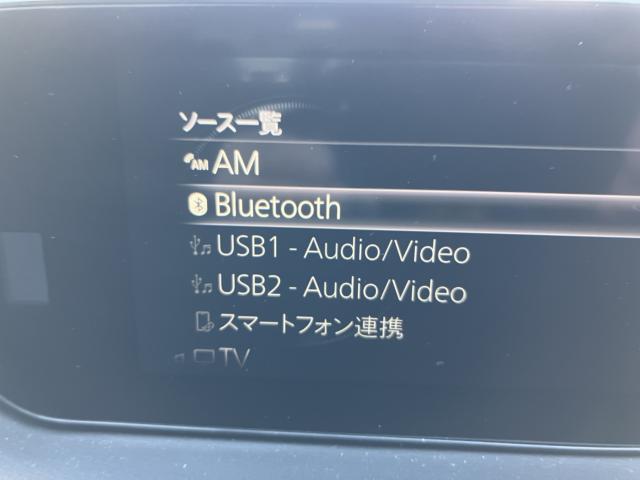 MX-30（新潟県長岡市）画像19