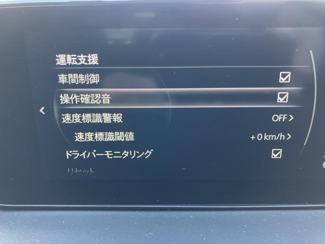 MX-30（新潟県長岡市）画像25