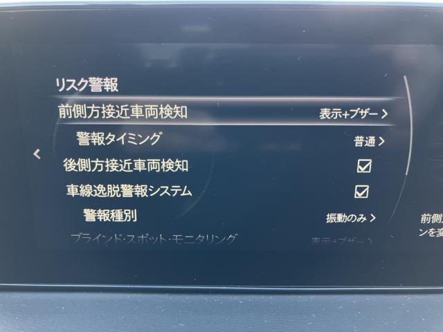 MX-30（新潟県長岡市）画像26