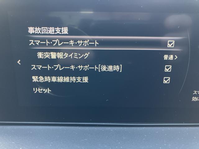 MX-30（新潟県長岡市）画像29