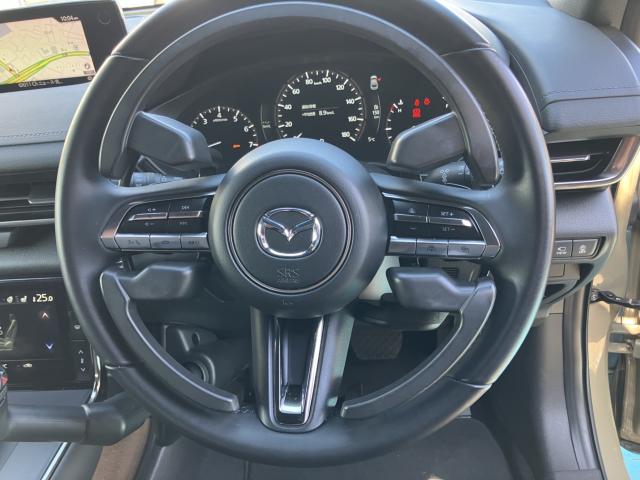 MX-30（新潟県長岡市）画像11