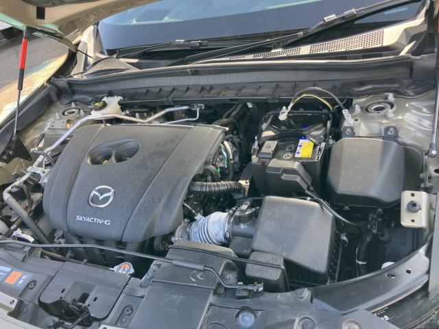 MX-30（新潟県長岡市）画像67