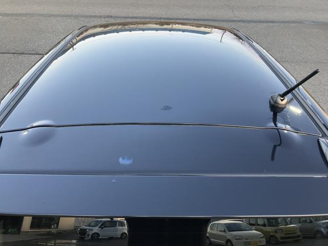 デイズ(新潟県新潟市西蒲区)