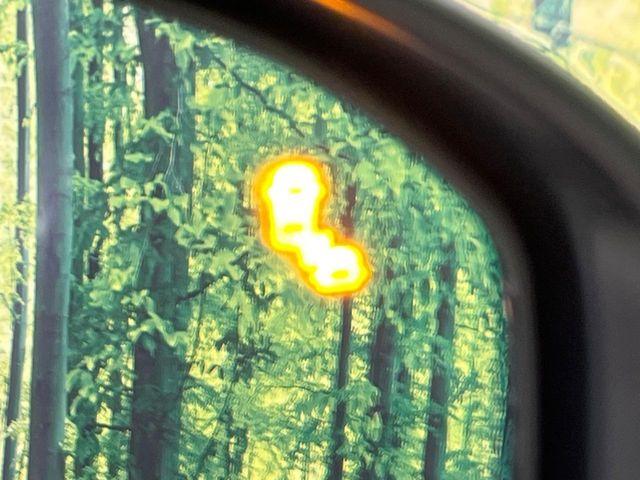 フリード(新潟県新潟市南区)