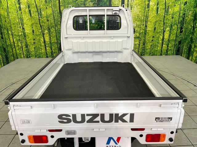 キャリイトラック(新潟県新潟市東区)