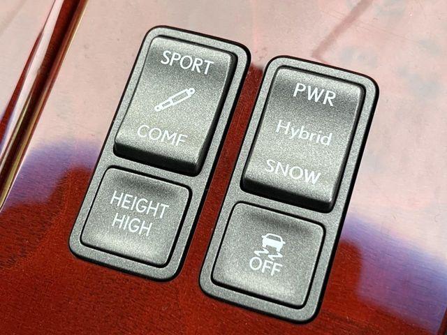 レクサスLS(新潟県新潟市南区)