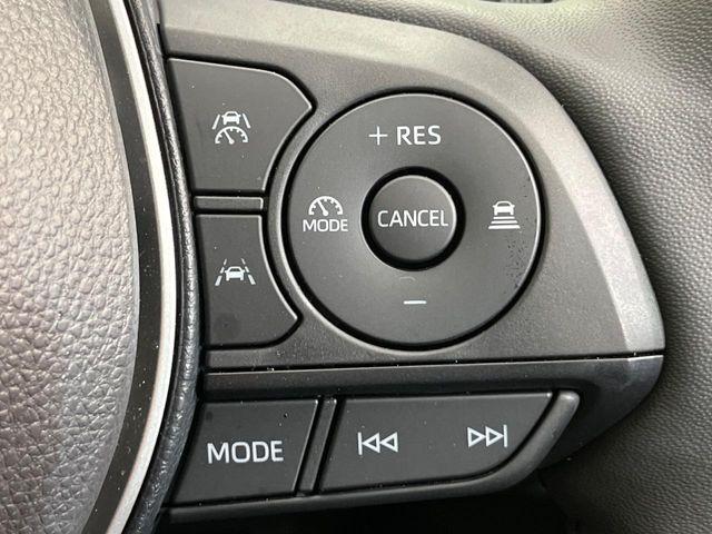 カローラクロス(新潟県新潟市南区)