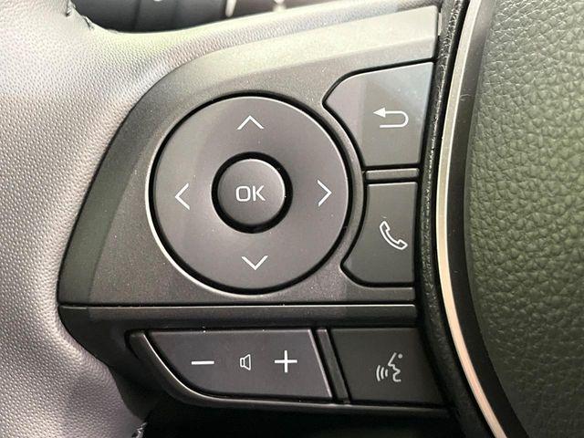 カローラクロス(新潟県新潟市南区)