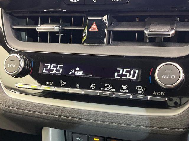 カローラクロス(新潟県新潟市南区)