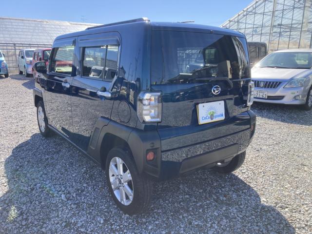 タフト（新潟県新潟市江南区）画像9