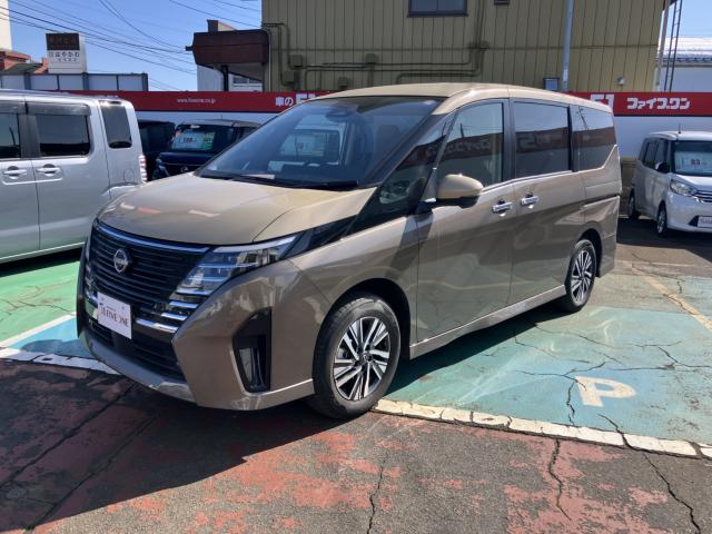 セレナ（新潟県長岡市）