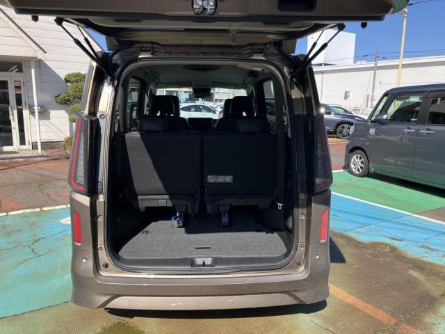 セレナ（新潟県長岡市）画像60