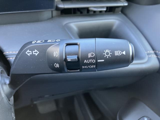 セレナ（新潟県長岡市）画像43