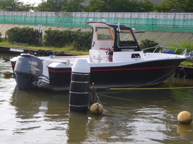 アメリカ その他（新潟県新潟市南区）画像13