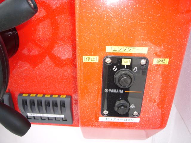 アメリカ その他（新潟県新潟市南区）画像20