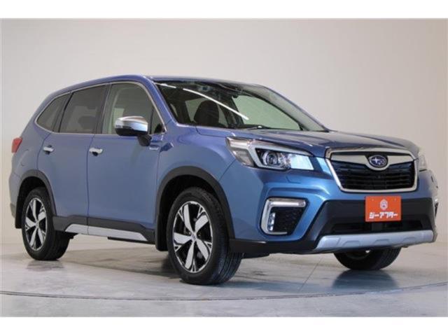 フォレスター（新潟県新潟市東区）画像7