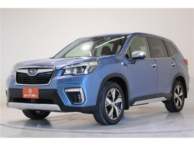 フォレスター（新潟県新潟市東区）画像9