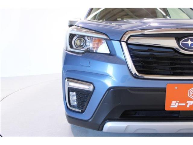 フォレスター（新潟県新潟市東区）画像17