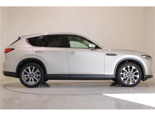 CX-60（新潟県新潟市東区）画像14