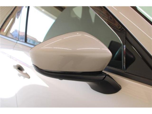 CX-60（新潟県新潟市東区）画像22