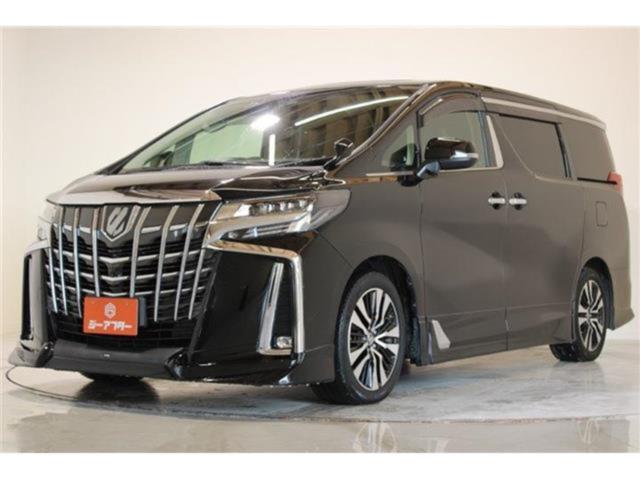 アルファード（新潟県新潟市東区）