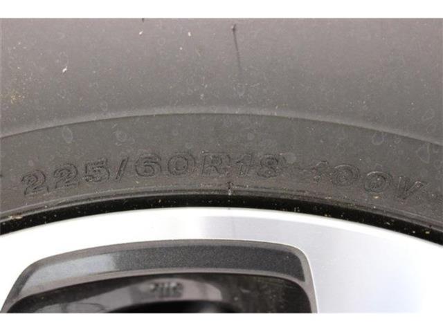 アウトバック（新潟県新潟市東区）画像28