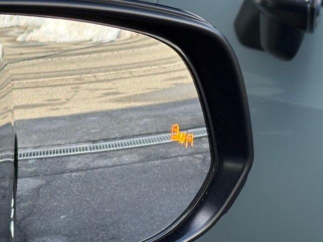 アルファード（新潟県柏崎市）