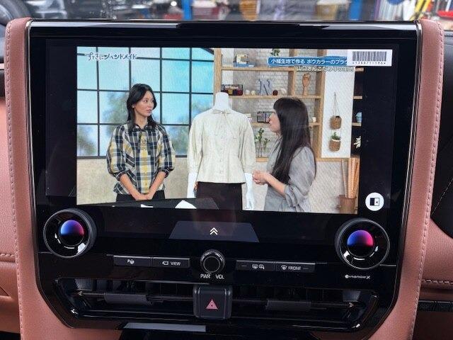 ヴェルファイア（新潟県柏崎市）画像15