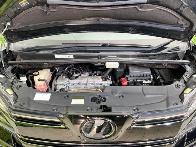 ヴェルファイア(新潟県新潟市東区)