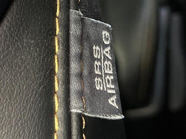 ヴェルファイア(新潟県新潟市東区)