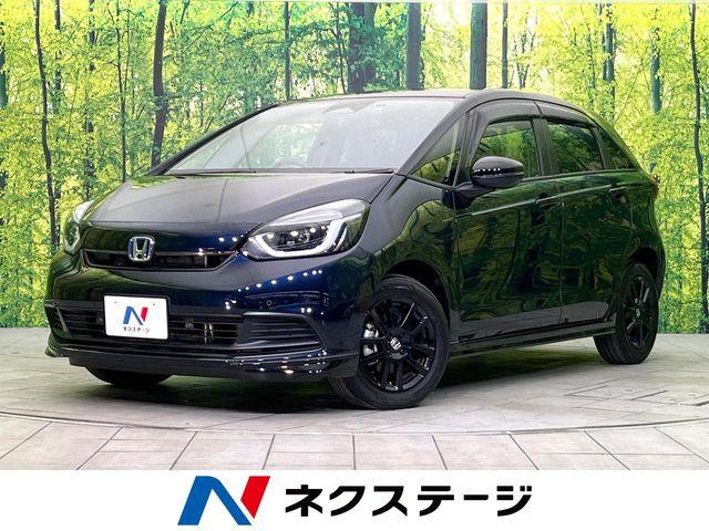 フィット（新潟県新潟市東区）