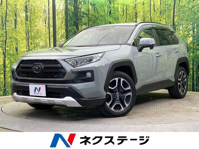 ＲＡＶ４（新潟県新潟市南区）