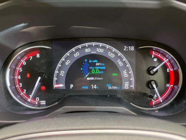 ＲＡＶ４（新潟県新潟市南区）