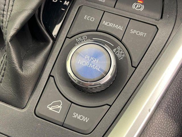 ＲＡＶ４（新潟県新潟市南区）