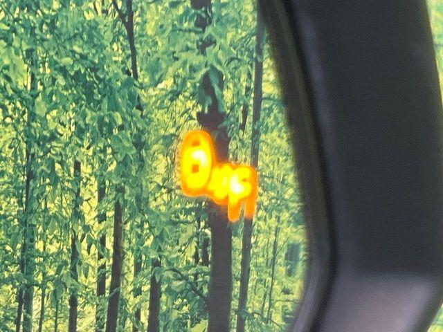 ＲＡＶ４（新潟県新潟市南区）