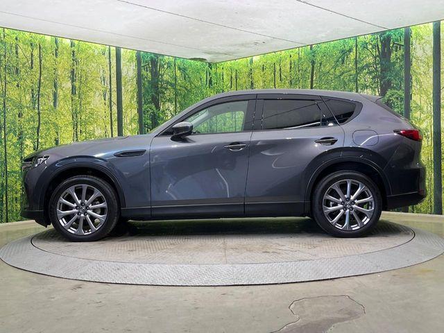 CX-60（新潟県新潟市南区）