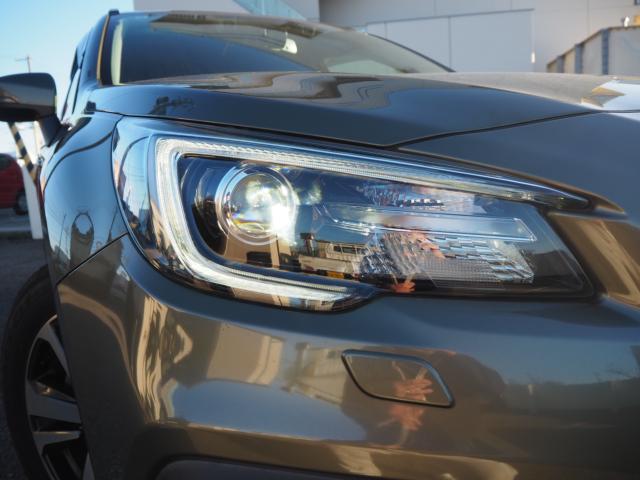 アウトバック（新潟県新潟市西区）