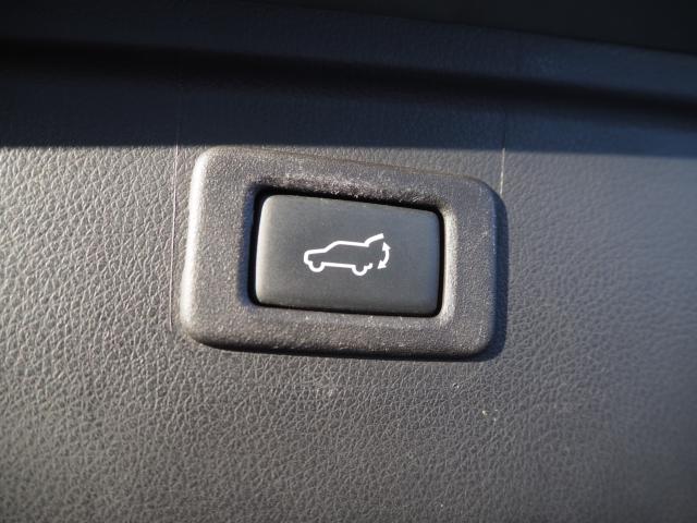 アウトバック（新潟県新潟市西区）