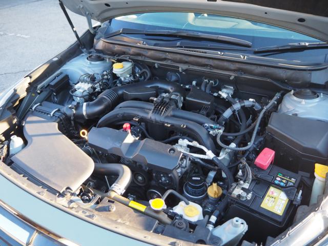 アウトバック（新潟県新潟市西区）