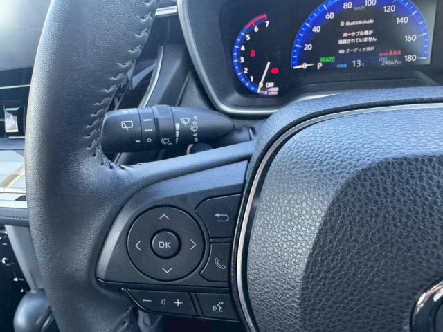 カローラクロス（新潟県新潟市南区）画像24