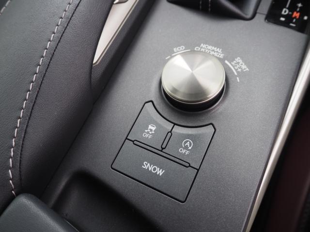 レクサスＩＳ（新潟県新潟市西区）