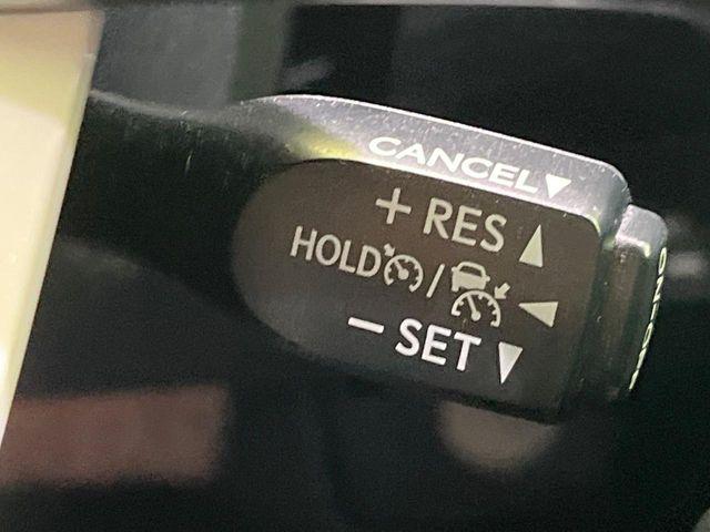 プリウス(新潟県長岡市)