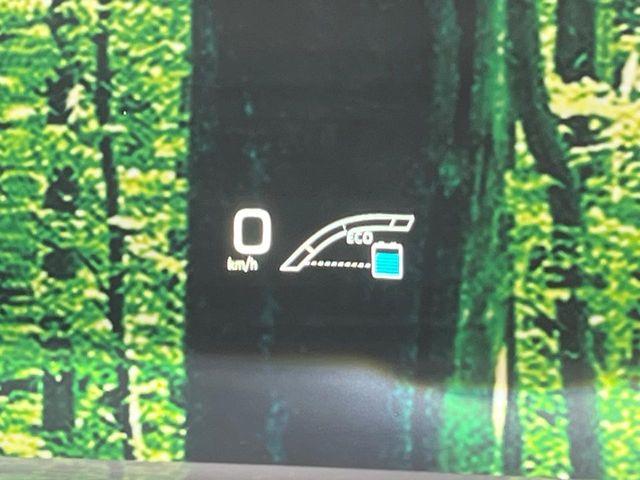 プリウス(新潟県長岡市)